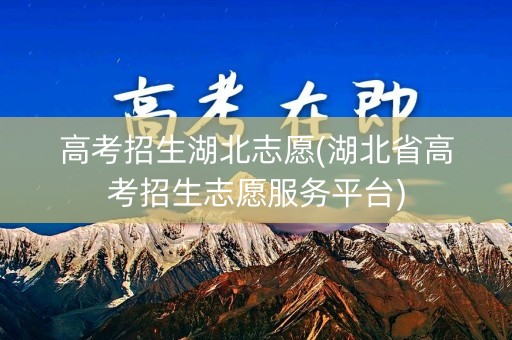 高考招生湖北志愿(湖北省高考招生志愿服务平台)