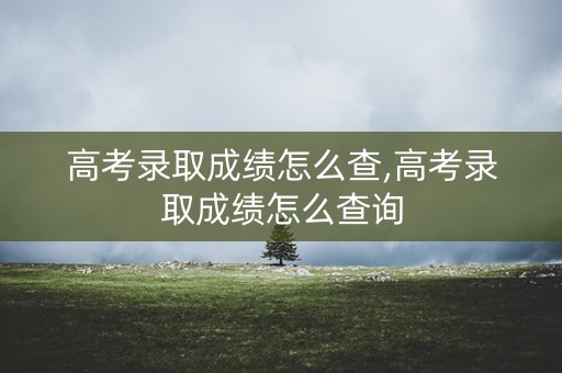 高考录取成绩怎么查,高考录取成绩怎么查询