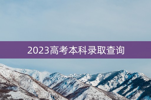 2023高考本科录取查询