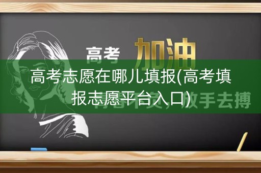 高考志愿在哪儿填报(高考填报志愿平台入口)