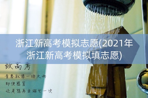 浙江新高考模拟志愿(2021年浙江新高考模拟填志愿)