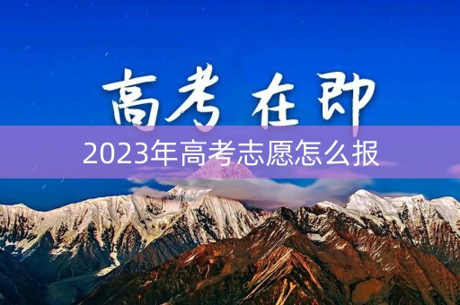 2023年高考志愿怎么报