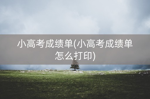 小高考成绩单(小高考成绩单怎么打印)