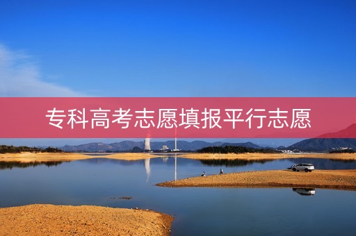 专科高考志愿填报平行志愿