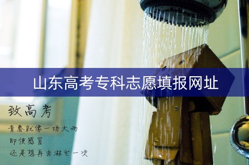 山东高考专科志愿填报网址