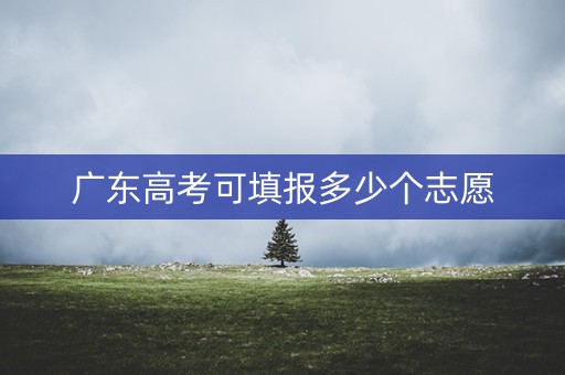 广东高考可填报多少个志愿