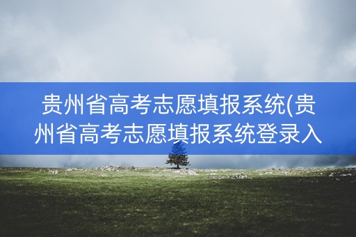 贵州省高考志愿填报系统(贵州省高考志愿填报系统登录入口http)