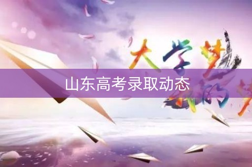 山东高考录取动态