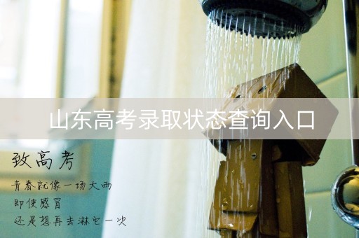 详细阅读:山东高考录取状态查询入口 山东高考录取状态查询入口