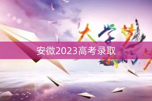 安微2023高考录取