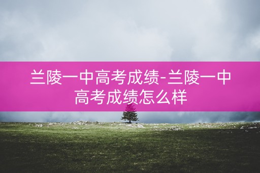 兰陵一中高考成绩-兰陵一中高考成绩怎么样