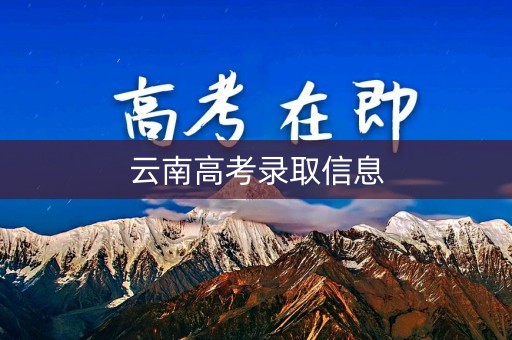 云南高考录取信息