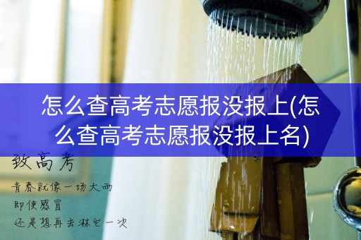 怎么查高考志愿报没报上(怎么查高考志愿报没报上名)