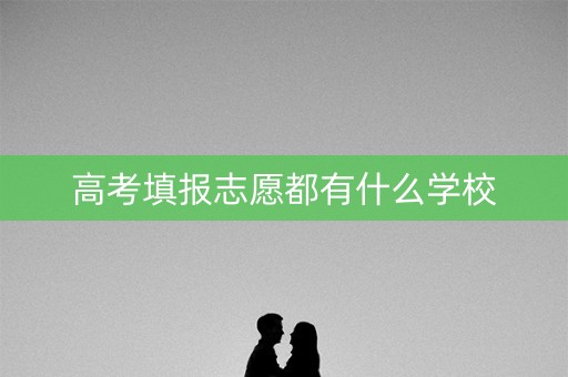 高考填报志愿都有什么学校