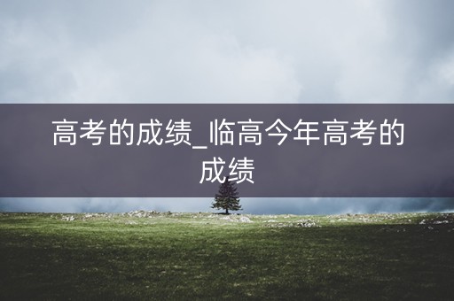 高考的成绩_临高今年高考的成绩
