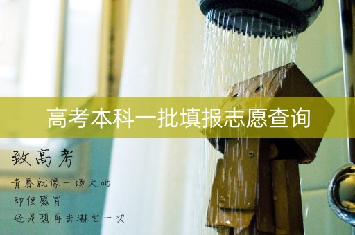 高考本科一批填报志愿查询