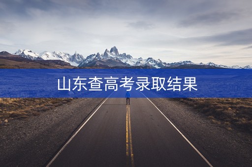 山东查高考录取结果