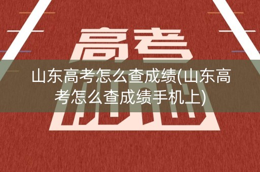 山东高考怎么查成绩(山东高考怎么查成绩手机上)
