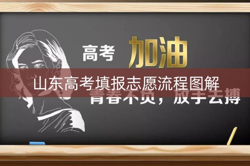 山东高考填报志愿流程图解