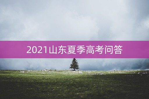 2021山东夏季高考问答