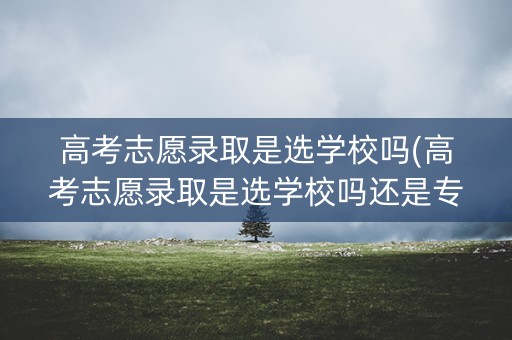 高考志愿录取是选学校吗(高考志愿录取是选学校吗还是专业) 高考志愿录取是选学校吗(高考志愿录取是选学校吗还是专业)
