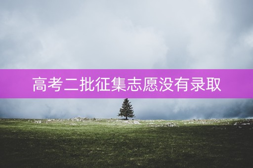 高考二批征集志愿没有录取 高考二批征集志愿没有录取