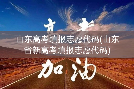 山东高考填报志愿代码(山东省新高考填报志愿代码)