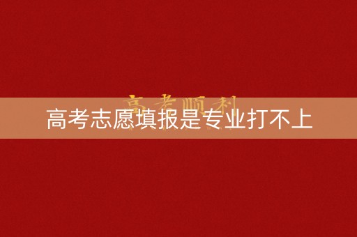 高考志愿填报是专业打不上 高考志愿填报是专业打不上