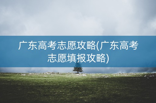 广东高考志愿攻略(广东高考志愿填报攻略) 广东高考志愿攻略(广东高考志愿填报攻略)