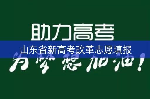 山东省新高考改革志愿填报 山东省新高考改革志愿填报