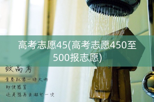 高考志愿45(高考志愿450至500报志愿)