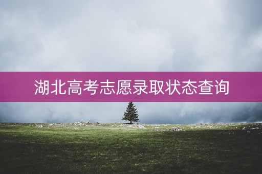 湖北高考志愿录取状态查询 湖北高考志愿录取状态查询
