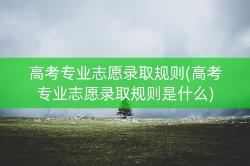 高考专业志愿录取规则(高考专业志愿录取规则是什么)