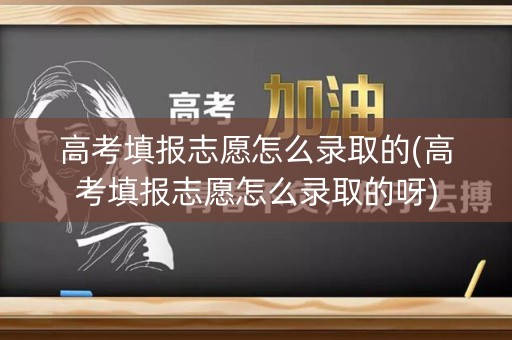高考填报志愿怎么录取的(高考填报志愿怎么录取的呀)