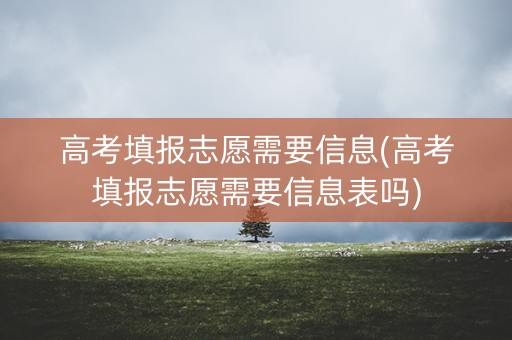 高考填报志愿需要信息(高考填报志愿需要信息表吗)