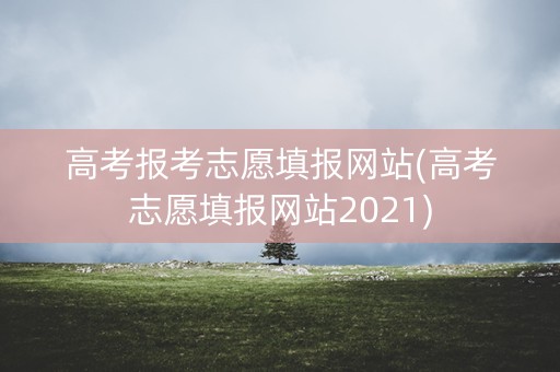 高考报考志愿填报网站(高考志愿填报网站2021)