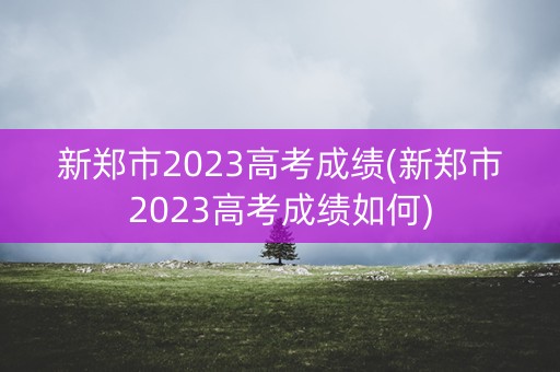 新郑市2023高考成绩(新郑市2023高考成绩如何)