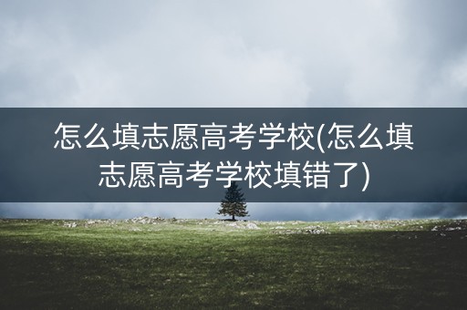 怎么填志愿高考学校(怎么填志愿高考学校填错了)