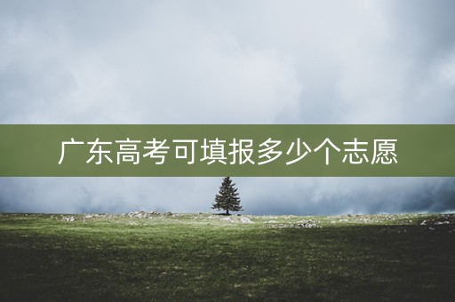 广东高考可填报多少个志愿