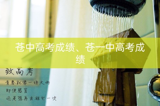 苍中高考成绩、苍一中高考成绩