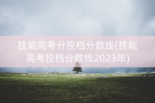 技能高考分投档分数线(技能高考投档分数线2023年)
