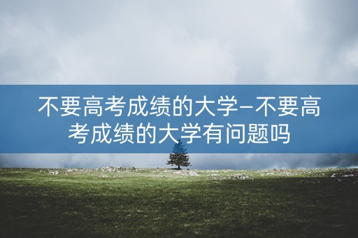 不要高考成绩的大学—不要高考成绩的大学有问题吗