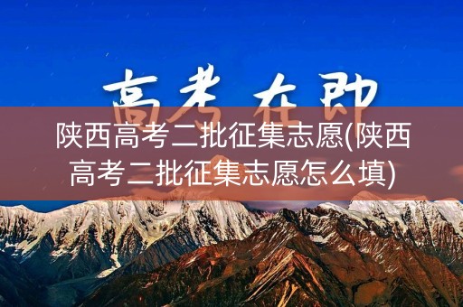 陕西高考二批征集志愿(陕西高考二批征集志愿怎么填)