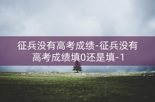 征兵没有高考成绩-征兵没有高考成绩填0还是填-1