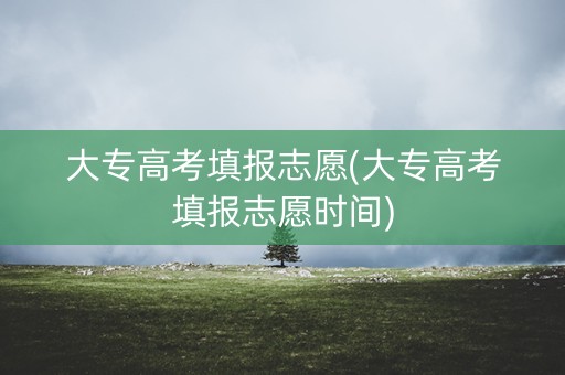 详细阅读:大专高考填报志愿(大专高考填报志愿时间) 大专高考填报志愿(大专高考填报志愿时间)