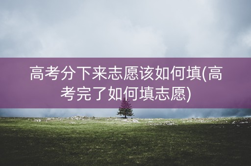 高考分下来志愿该如何填(高考完了如何填志愿)