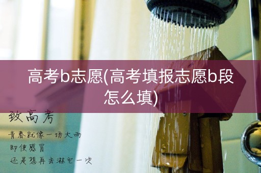 高考b志愿(高考填报志愿b段怎么填)