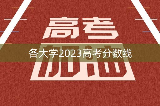 各大学2023高考分数线