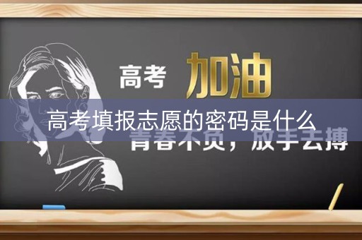 高考填报志愿的密码是什么