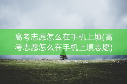 高考志愿怎么在手机上填(高考志愿怎么在手机上填志愿)